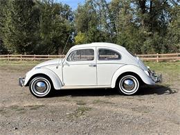 1964 Volkswagen Beetle (CC-2115524) for sale in Gladstone, Oregon