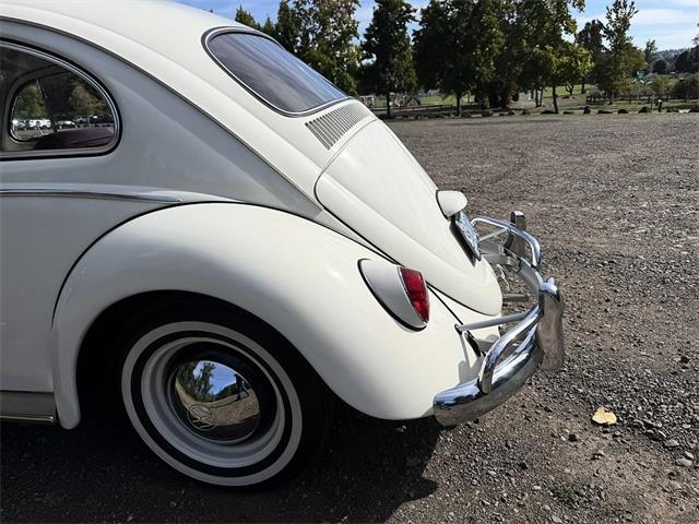 1964 Volkswagen Beetle (CC-2115524) for sale in Gladstone, Oregon
