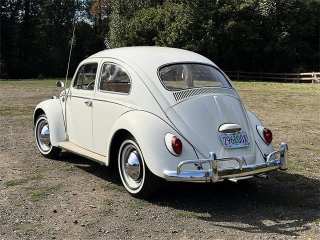 1964 Volkswagen Beetle (CC-2115524) for sale in Gladstone, Oregon
