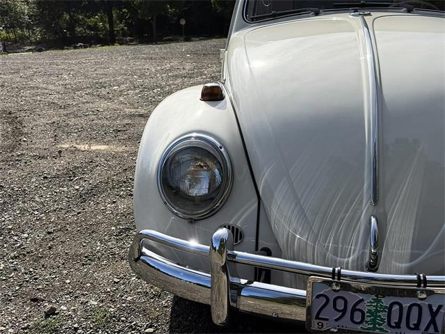 1964 Volkswagen Beetle (CC-2115524) for sale in Gladstone, Oregon