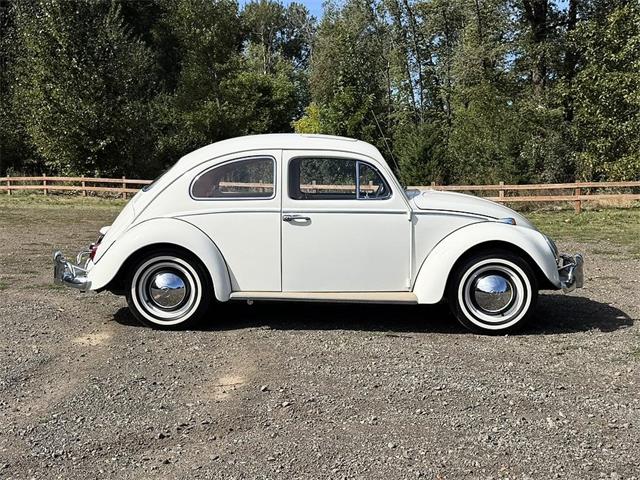 1964 Volkswagen Beetle (CC-2115524) for sale in Gladstone, Oregon