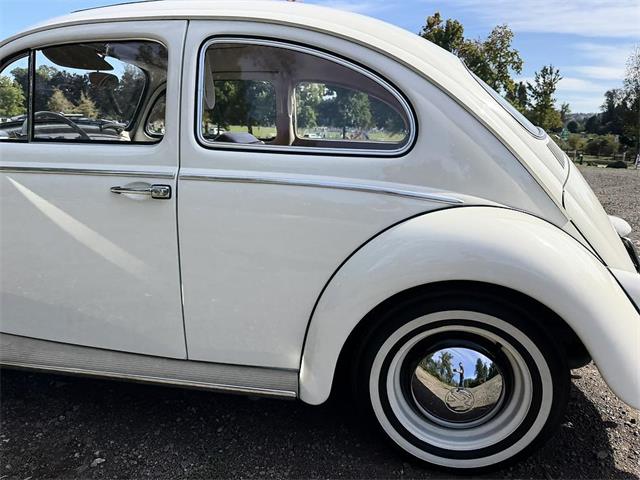 1964 Volkswagen Beetle (CC-2115524) for sale in Gladstone, Oregon