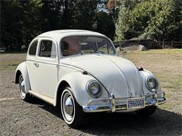 1964 Volkswagen Beetle (CC-2115524) for sale in Gladstone, Oregon