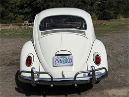 1964 Volkswagen Beetle (CC-2115524) for sale in Gladstone, Oregon