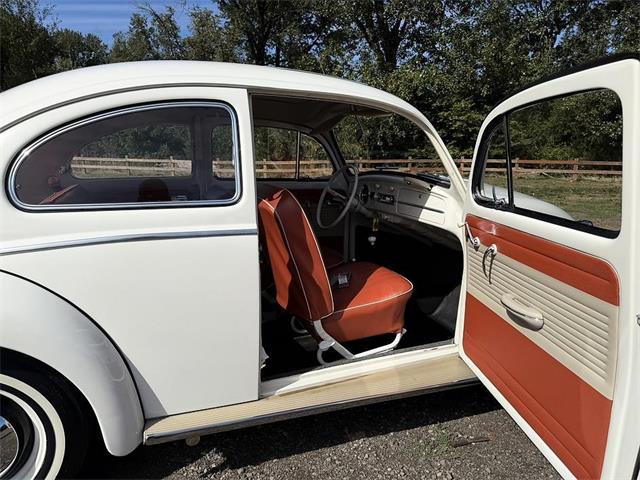 1964 Volkswagen Beetle (CC-2115524) for sale in Gladstone, Oregon