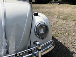 1964 Volkswagen Beetle (CC-2115524) for sale in Gladstone, Oregon