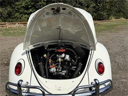 1964 Volkswagen Beetle (CC-2115524) for sale in Gladstone, Oregon