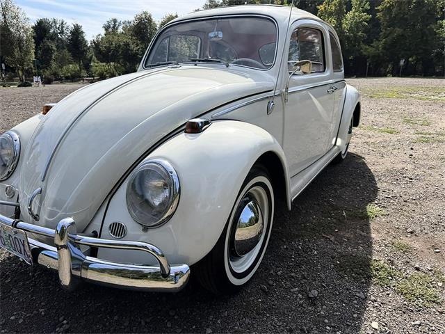 1964 Volkswagen Beetle (CC-2115524) for sale in Gladstone, Oregon