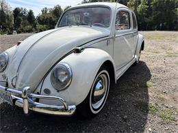 1964 Volkswagen Beetle (CC-2115524) for sale in Gladstone, Oregon