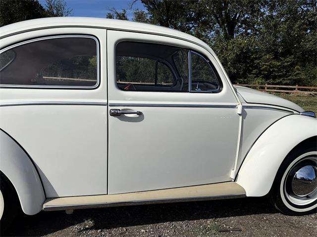 1964 Volkswagen Beetle (CC-2115524) for sale in Gladstone, Oregon