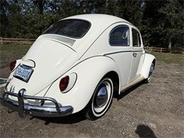 1964 Volkswagen Beetle (CC-2115524) for sale in Gladstone, Oregon