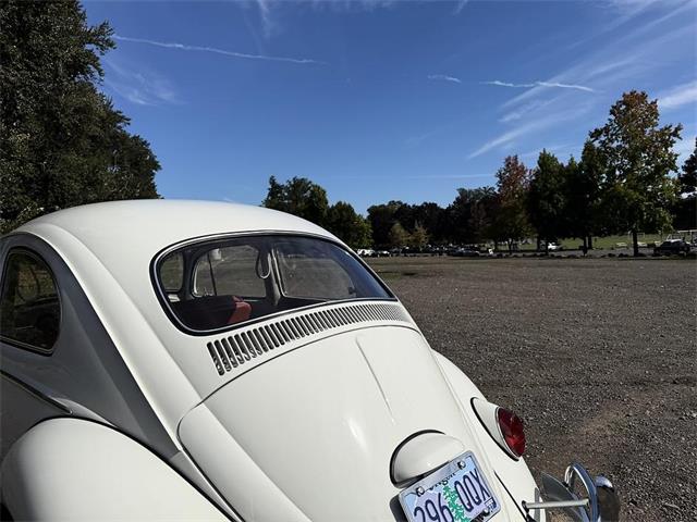 1964 Volkswagen Beetle (CC-2115524) for sale in Gladstone, Oregon