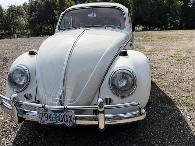 1964 Volkswagen Beetle (CC-2115524) for sale in Gladstone, Oregon