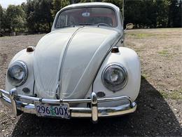 1964 Volkswagen Beetle (CC-2115524) for sale in Gladstone, Oregon