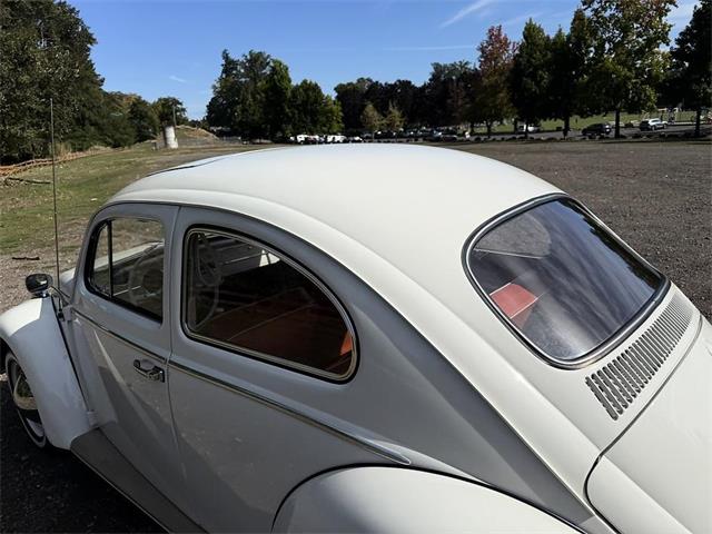 1964 Volkswagen Beetle (CC-2115524) for sale in Gladstone, Oregon