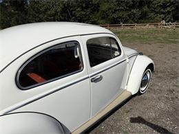 1964 Volkswagen Beetle (CC-2115524) for sale in Gladstone, Oregon