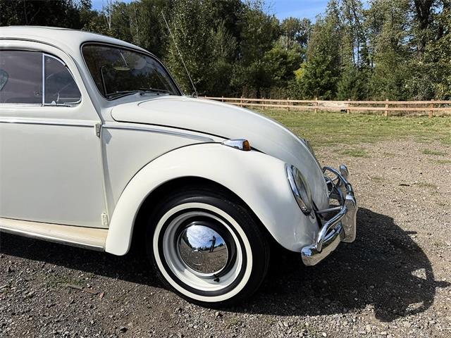 1964 Volkswagen Beetle (CC-2115524) for sale in Gladstone, Oregon