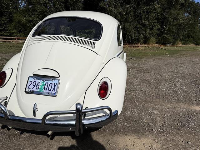 1964 Volkswagen Beetle (CC-2115524) for sale in Gladstone, Oregon