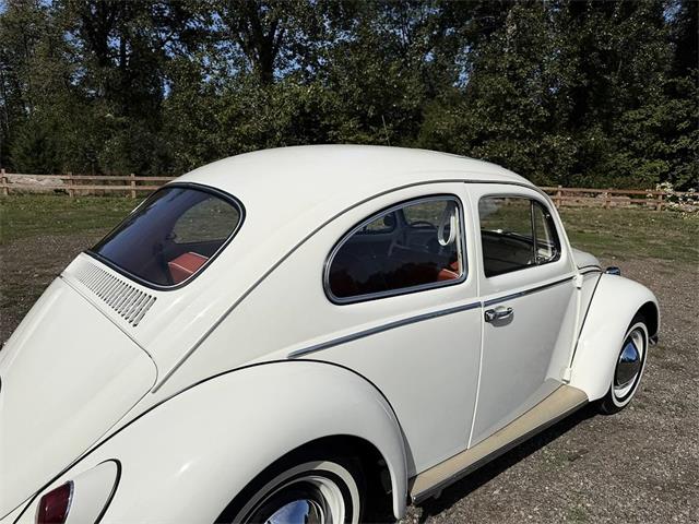 1964 Volkswagen Beetle (CC-2115524) for sale in Gladstone, Oregon