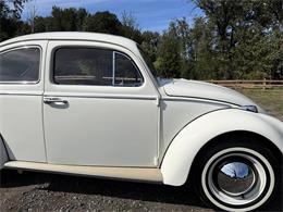 1964 Volkswagen Beetle (CC-2115524) for sale in Gladstone, Oregon