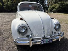 1964 Volkswagen Beetle (CC-2115524) for sale in Gladstone, Oregon
