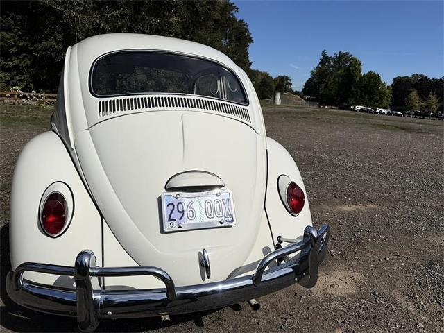 1964 Volkswagen Beetle (CC-2115524) for sale in Gladstone, Oregon