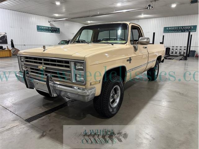 1985 Chevrolet C10 (CC-2115558) for sale in Holland , Michigan