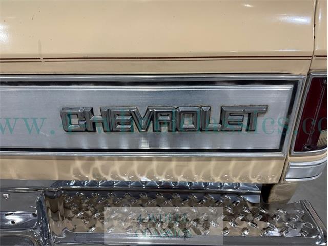 1985 Chevrolet C10 (CC-2115558) for sale in Holland , Michigan