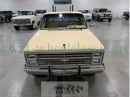 1985 Chevrolet C10 (CC-2115558) for sale in Holland , Michigan