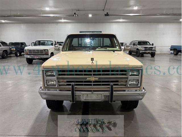 1985 Chevrolet C10 (CC-2115558) for sale in Holland , Michigan