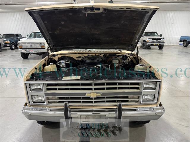 1985 Chevrolet C10 (CC-2115558) for sale in Holland , Michigan