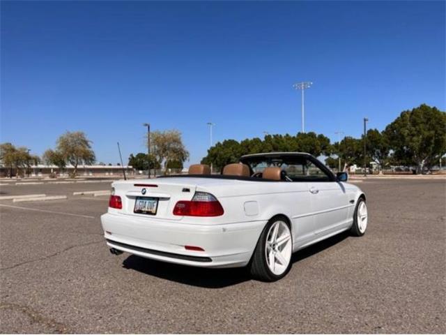 2002 BMW 330ci (CC-2110556) for sale in Cadillac, Michigan