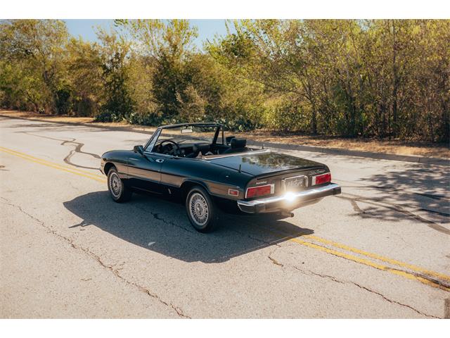 1978 Alfa Romeo 2000 Spider Veloce (CC-2115588) for sale in Austin, Texas