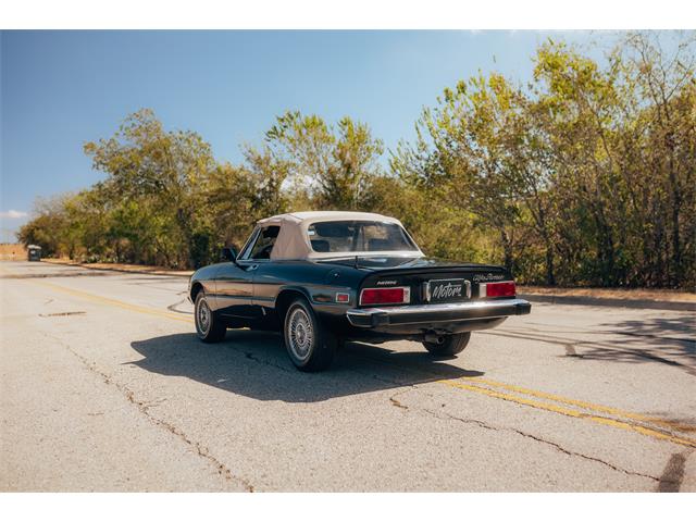 1978 Alfa Romeo 2000 Spider Veloce (CC-2115588) for sale in Austin, Texas