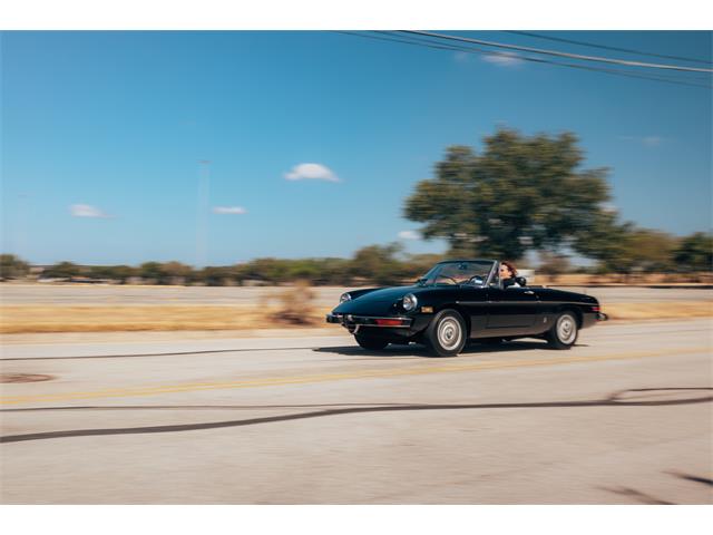 1978 Alfa Romeo 2000 Spider Veloce (CC-2115588) for sale in Austin, Texas