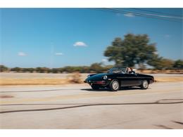 1978 Alfa Romeo 2000 Spider Veloce (CC-2115588) for sale in Austin, Texas