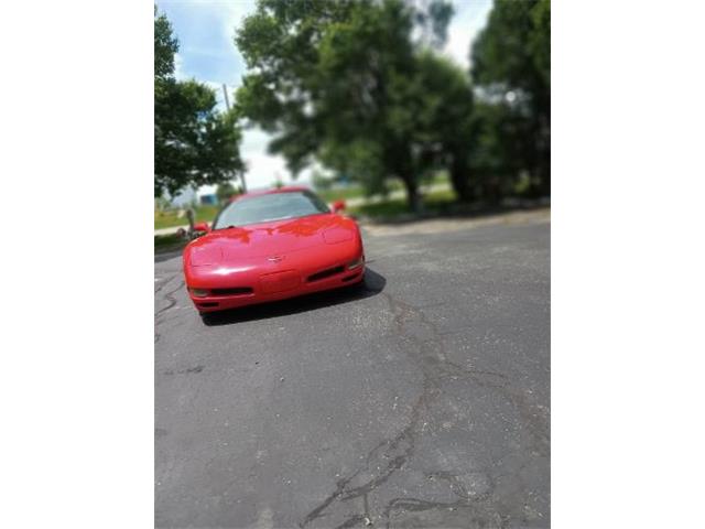2002 Chevrolet Corvette (CC-2110056) for sale in Cadillac, Michigan