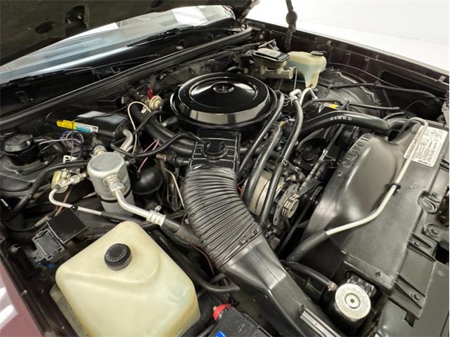 1986 Chevrolet Monte Carlo (CC-2115636) for sale in Morgantown, Pennsylvania