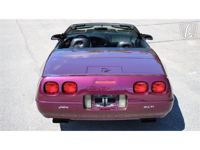 1996 Chevrolet Corvette (CC-2115683) for sale in Lake Mary, Florida