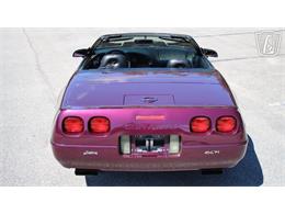 1996 Chevrolet Corvette (CC-2115683) for sale in Lake Mary, Florida
