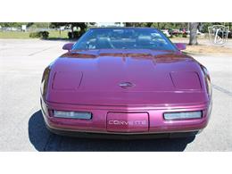 1996 Chevrolet Corvette (CC-2115683) for sale in Lake Mary, Florida