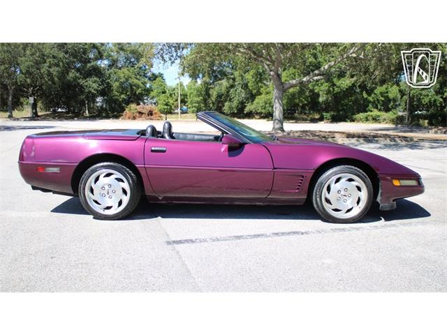 1996 Chevrolet Corvette (CC-2115683) for sale in Lake Mary, Florida