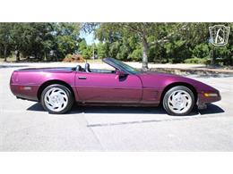 1996 Chevrolet Corvette (CC-2115683) for sale in Lake Mary, Florida