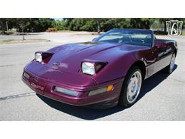 1996 Chevrolet Corvette (CC-2115683) for sale in Lake Mary, Florida
