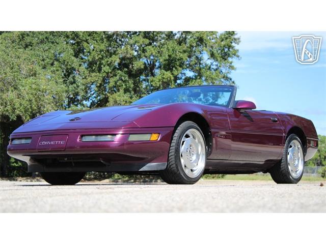 1996 Chevrolet Corvette (CC-2115683) for sale in Lake Mary, Florida