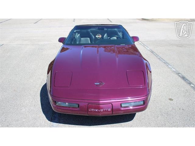 1996 Chevrolet Corvette (CC-2115683) for sale in Lake Mary, Florida