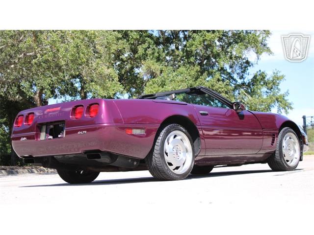 1996 Chevrolet Corvette (CC-2115683) for sale in Lake Mary, Florida