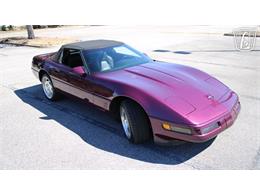1996 Chevrolet Corvette (CC-2115683) for sale in Lake Mary, Florida