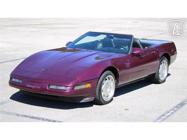 1996 Chevrolet Corvette (CC-2115683) for sale in Lake Mary, Florida