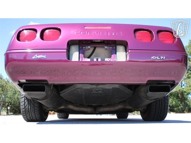 1996 Chevrolet Corvette (CC-2115683) for sale in Lake Mary, Florida